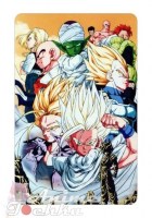 Dragon Ball 21